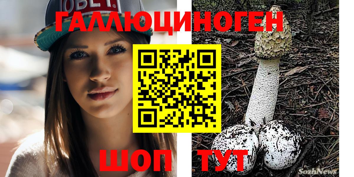 Каспийск  Псилоцибиновые грибы Magic Shrooms  Вход с VPN  Галлюциногенные грибы ЛСД 