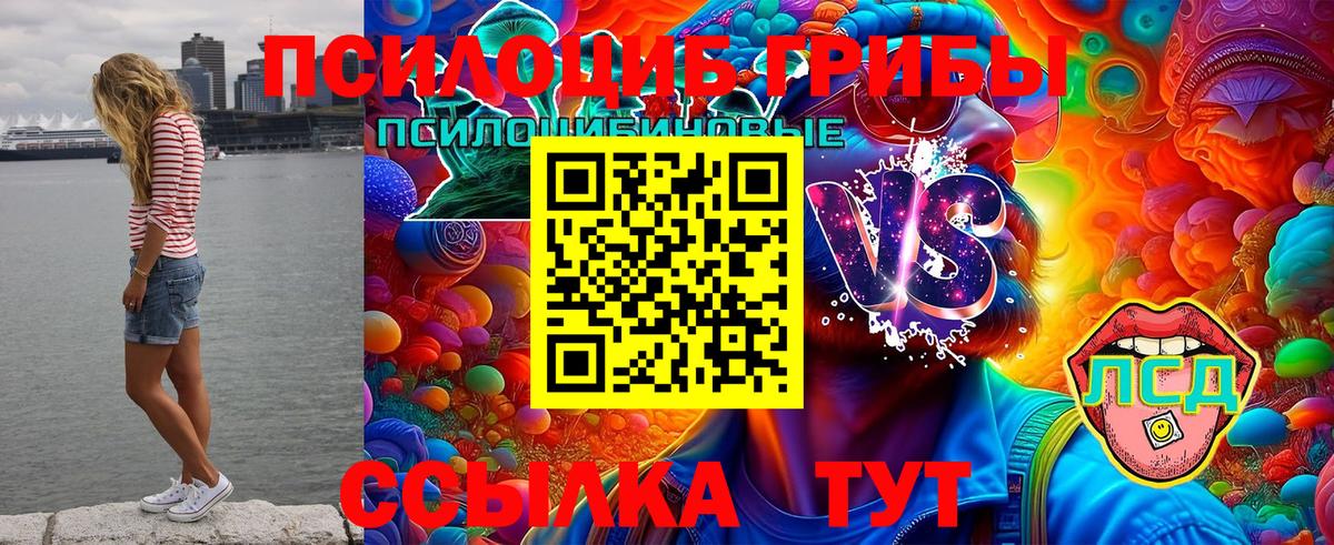 Галлюциногенные грибы Psilocybe Каспийск